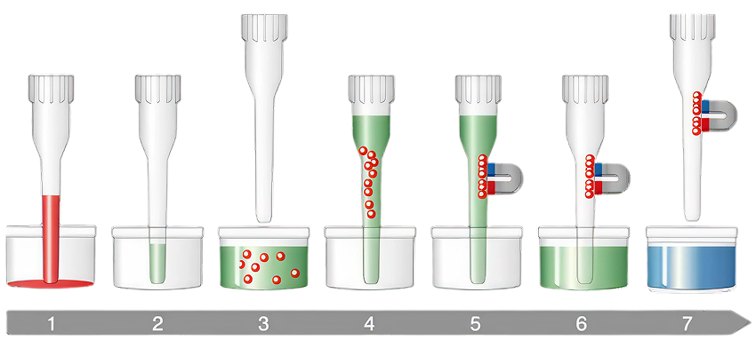 Extracción automatizada con tecnología Magtration®